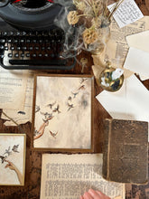 Load image into Gallery viewer, "His Eye Is On The Sparrow" Print on Paper