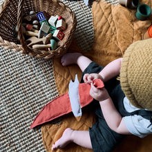 Load image into Gallery viewer, Kit the Red Winged Beigebird