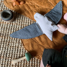 Load image into Gallery viewer, Thelma the Crunchy Pigeon