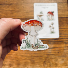 Load image into Gallery viewer, Mushroom Sticker Sheet
