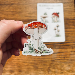 Mushroom Sticker Sheet