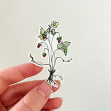 Load image into Gallery viewer, Strawberry Plant Sticker
