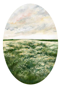 Field, Flower and Sky