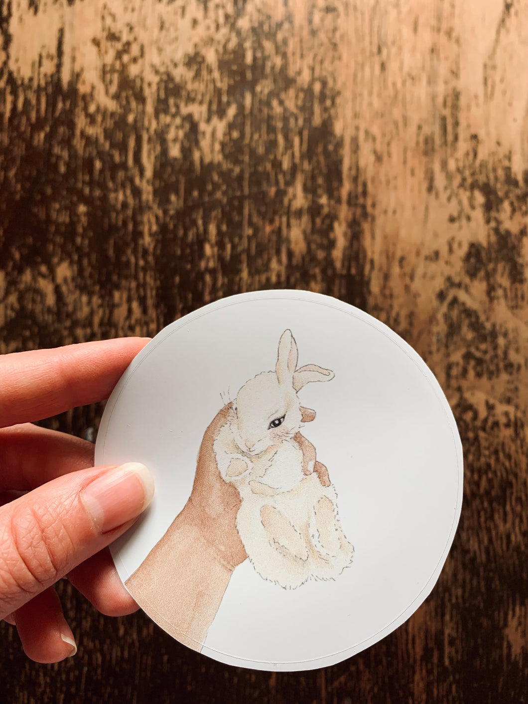 Baby Bunny sticker