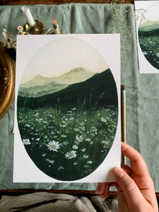 "Mountain Daisies" Print on Paper