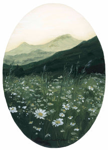 "Mountain Daisies" Print on Paper